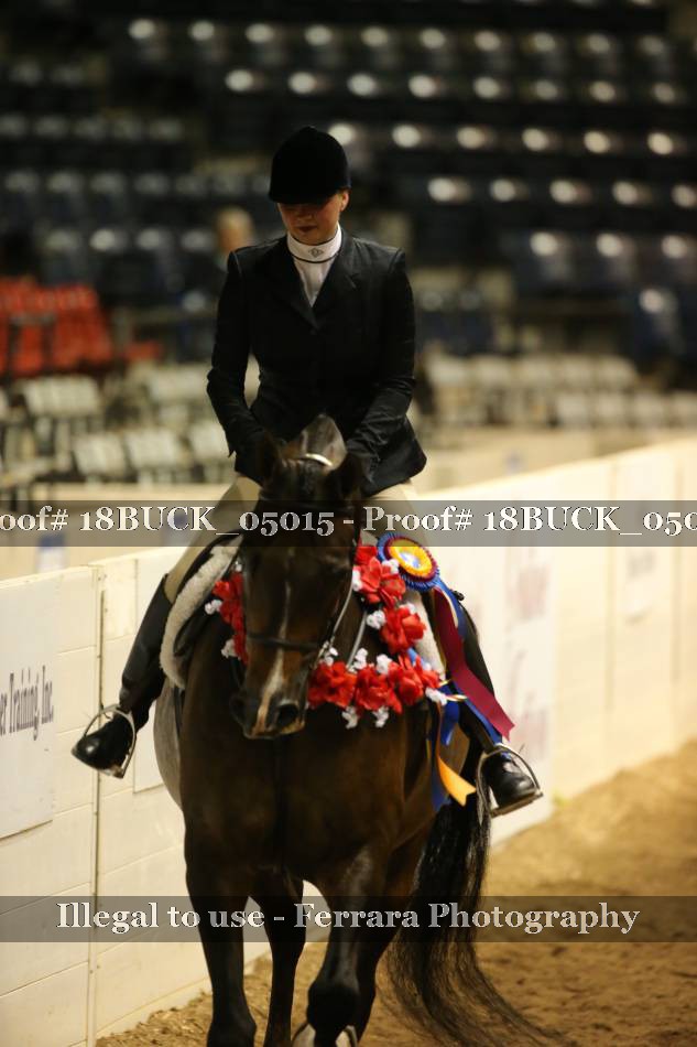Proof 18BUCK_05015