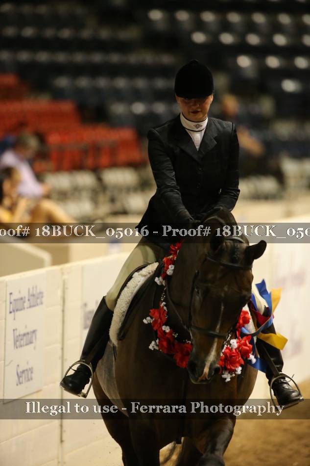 Proof 18BUCK_05016