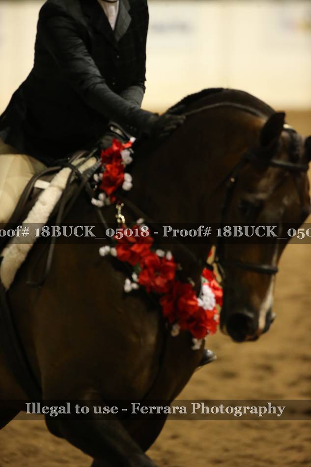 Proof 18BUCK_05018