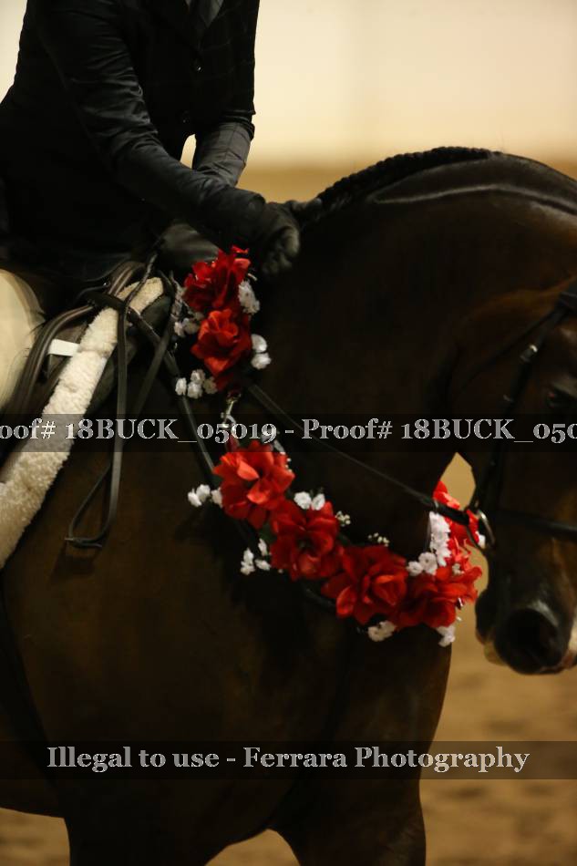 Proof 18BUCK_05019