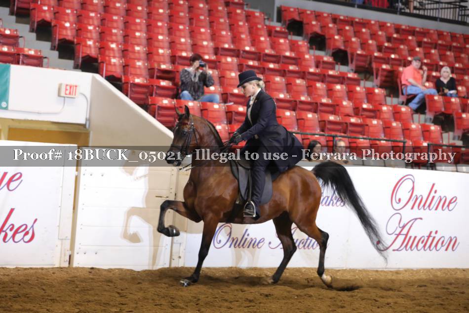 Proof 18BUCK_05021