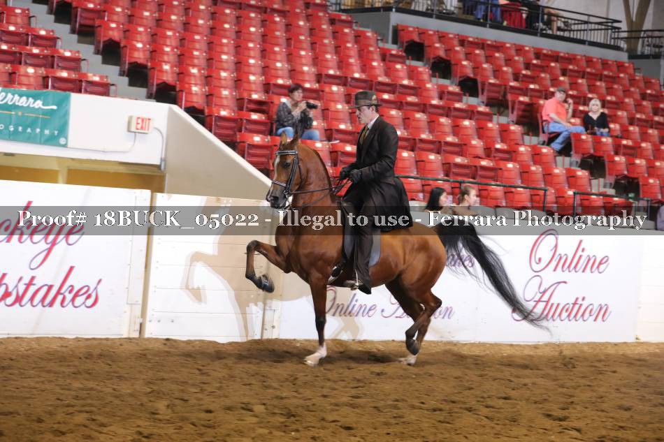 Proof 18BUCK_05022