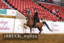 18BUCK_05022 proof