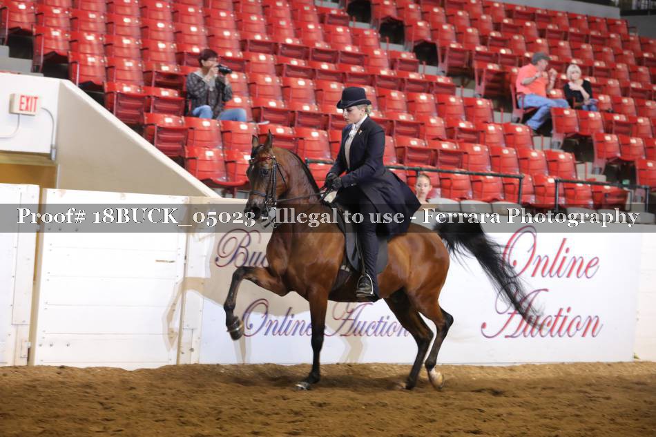 Proof 18BUCK_05023
