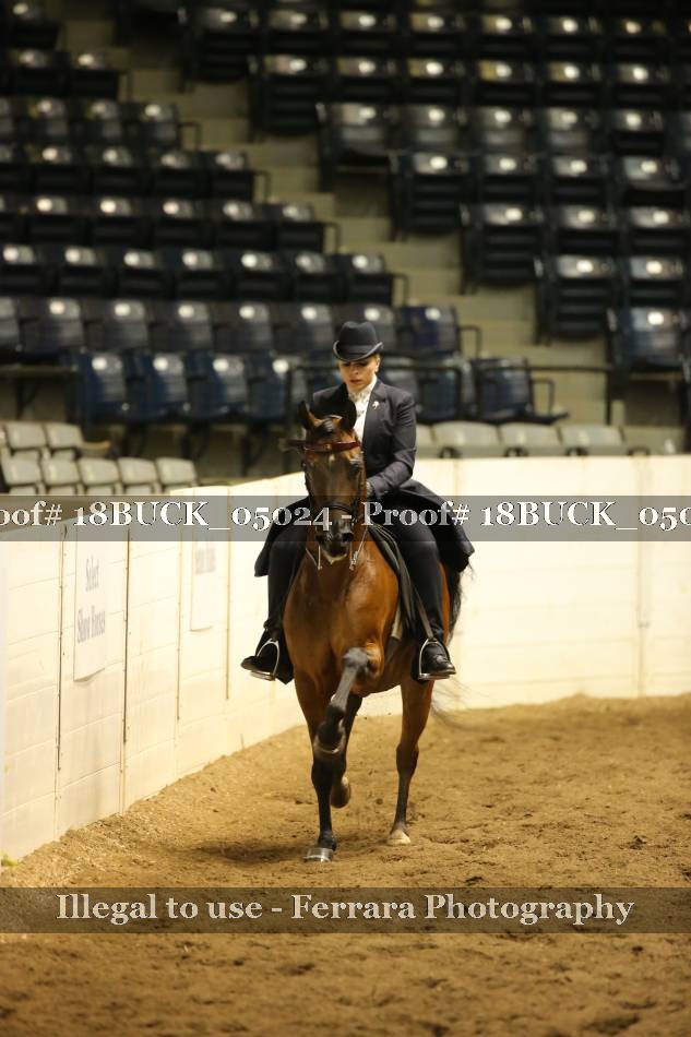 Proof 18BUCK_05024