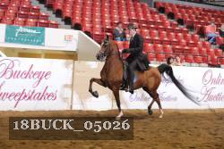 18BUCK_05026 proof