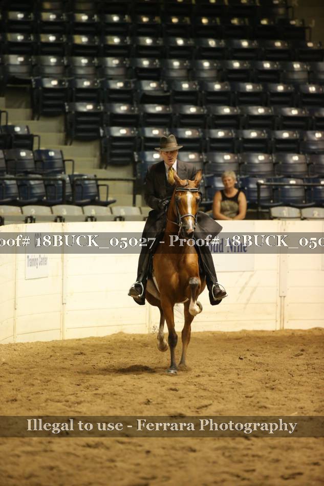 Proof 18BUCK_05027