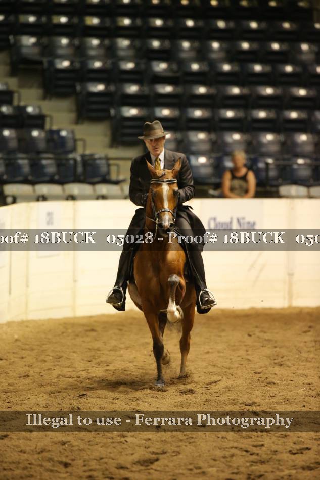 Proof 18BUCK_05028