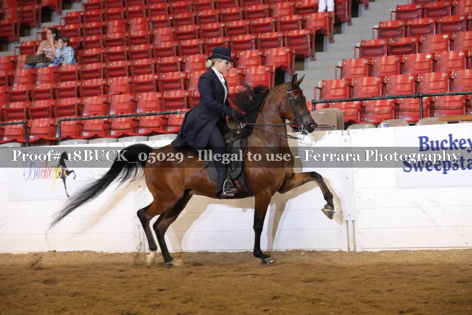 Proof 18BUCK_05029