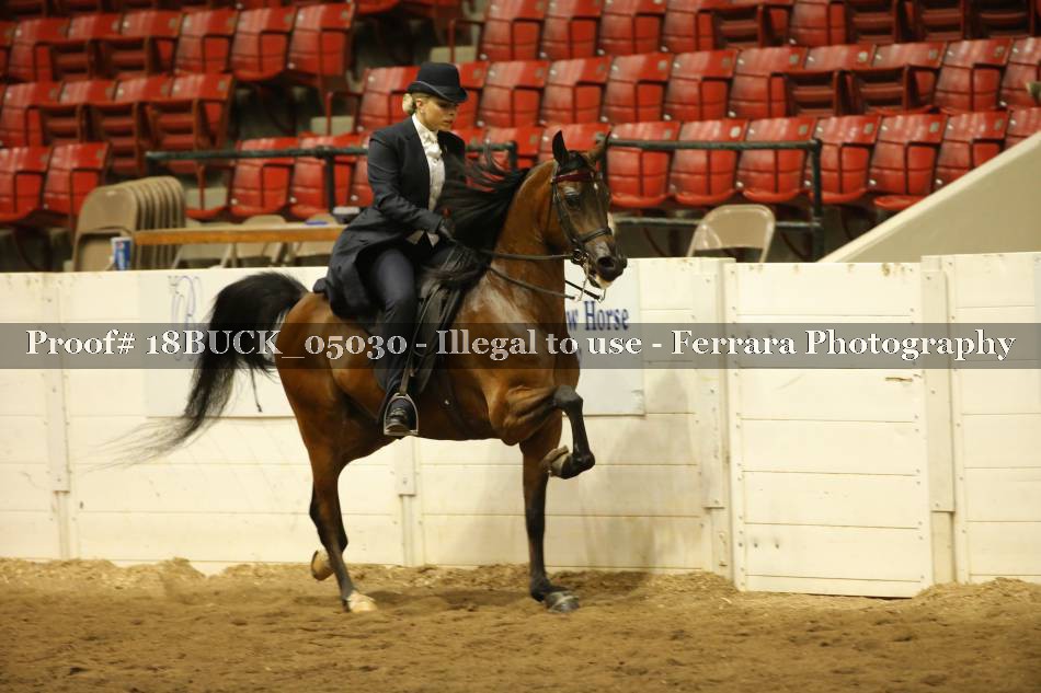 Proof 18BUCK_05030