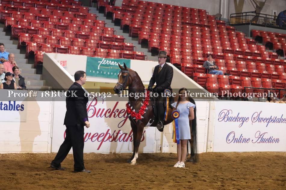 Proof 18BUCK_05032