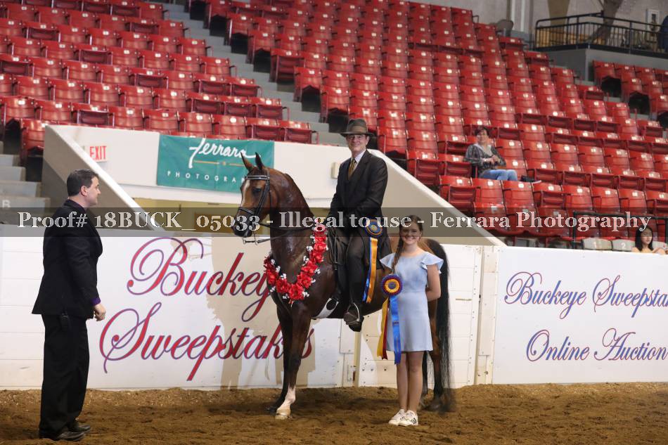 Proof 18BUCK_05033