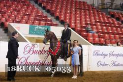 18BUCK_05033 proof