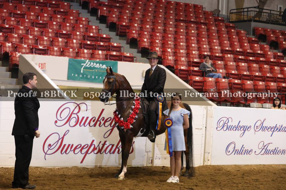 Proof 18BUCK_05034