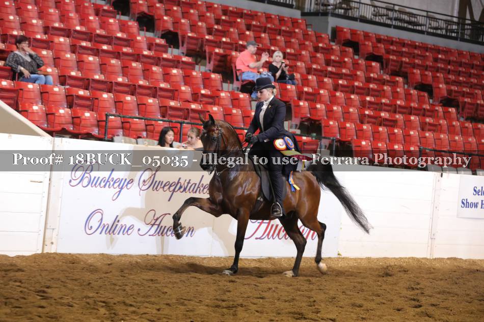 Proof 18BUCK_05035