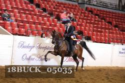 18BUCK_05035 proof