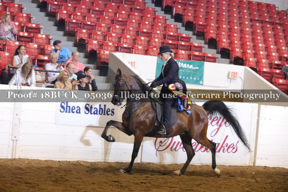 Proof 18BUCK_05036