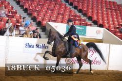 18BUCK_05036 proof