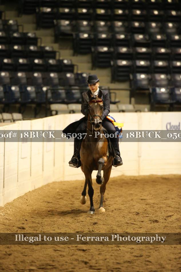Proof 18BUCK_05037