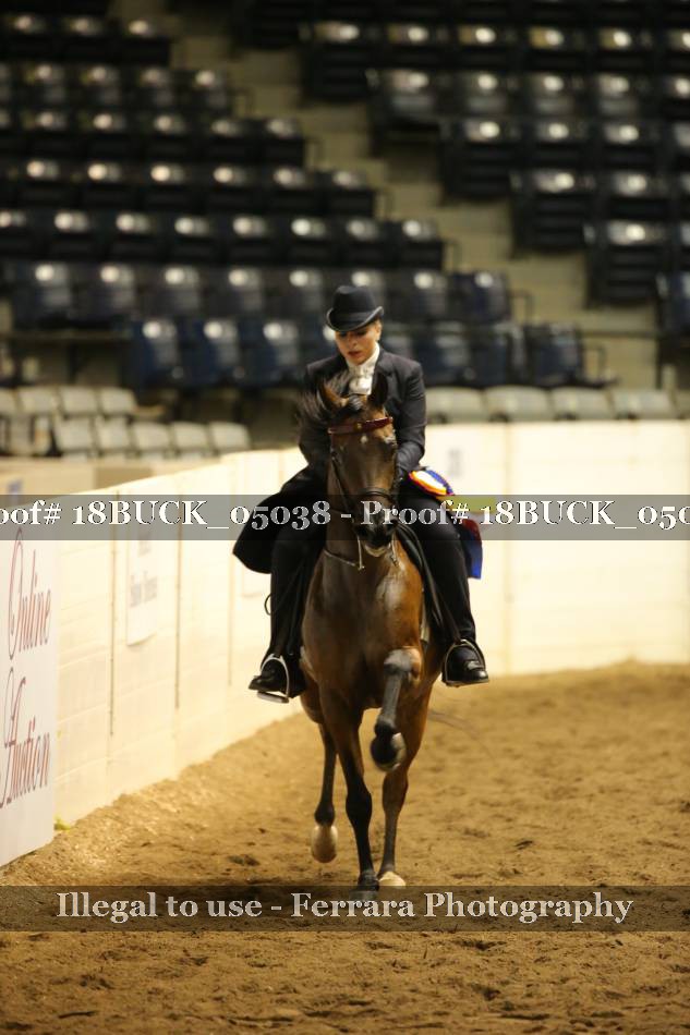 Proof 18BUCK_05038