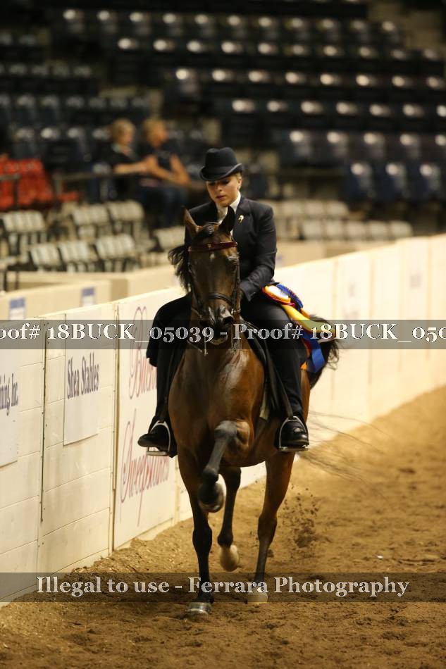 Proof 18BUCK_05039