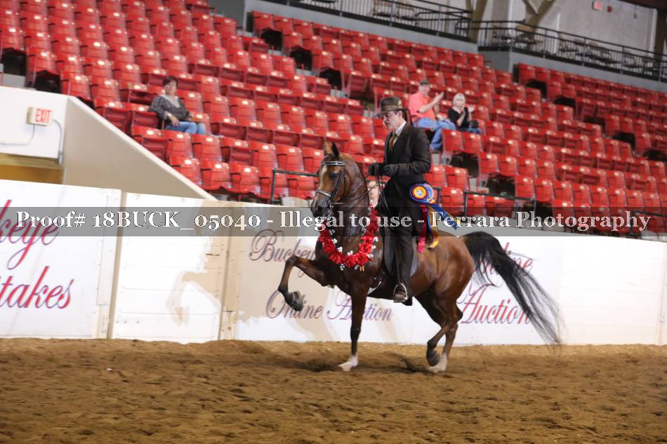 Proof 18BUCK_05040