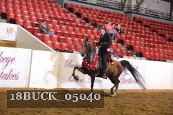18BUCK_05040 proof