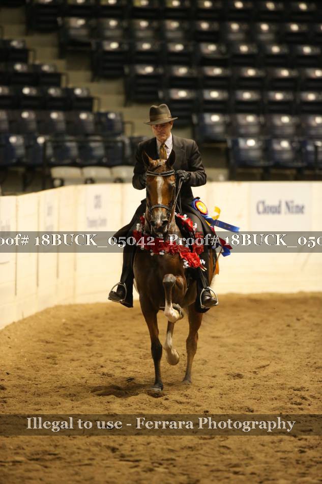 Proof 18BUCK_05042