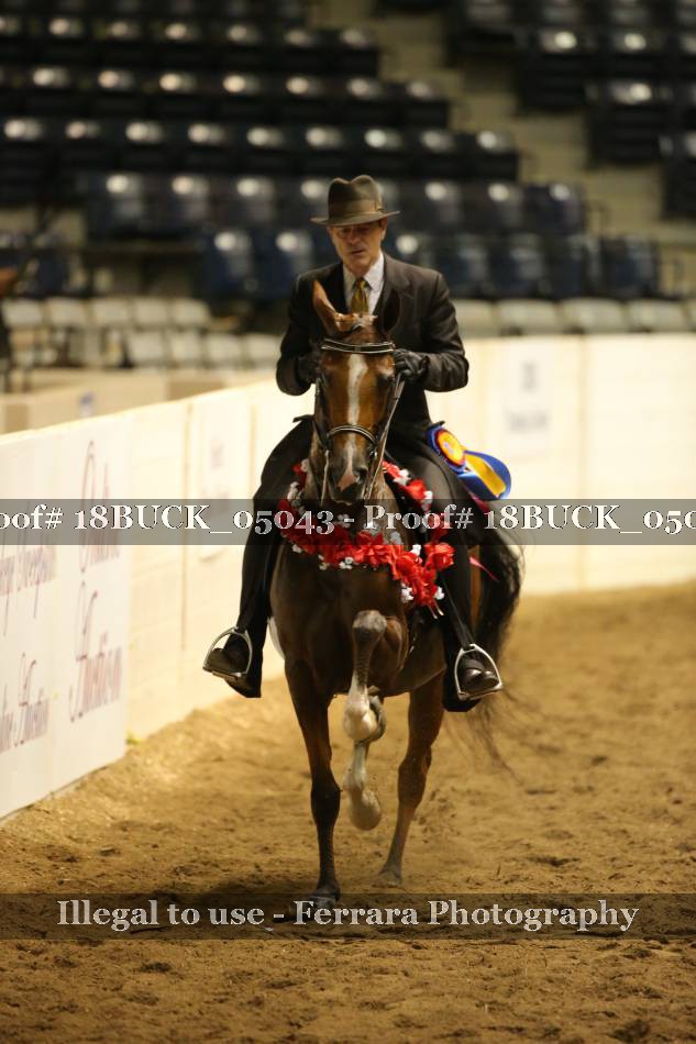 Proof 18BUCK_05043