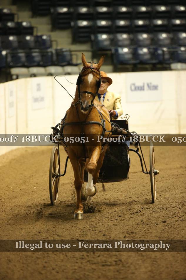 Proof 18BUCK_05051