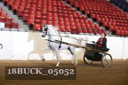 18BUCK_05052 proof