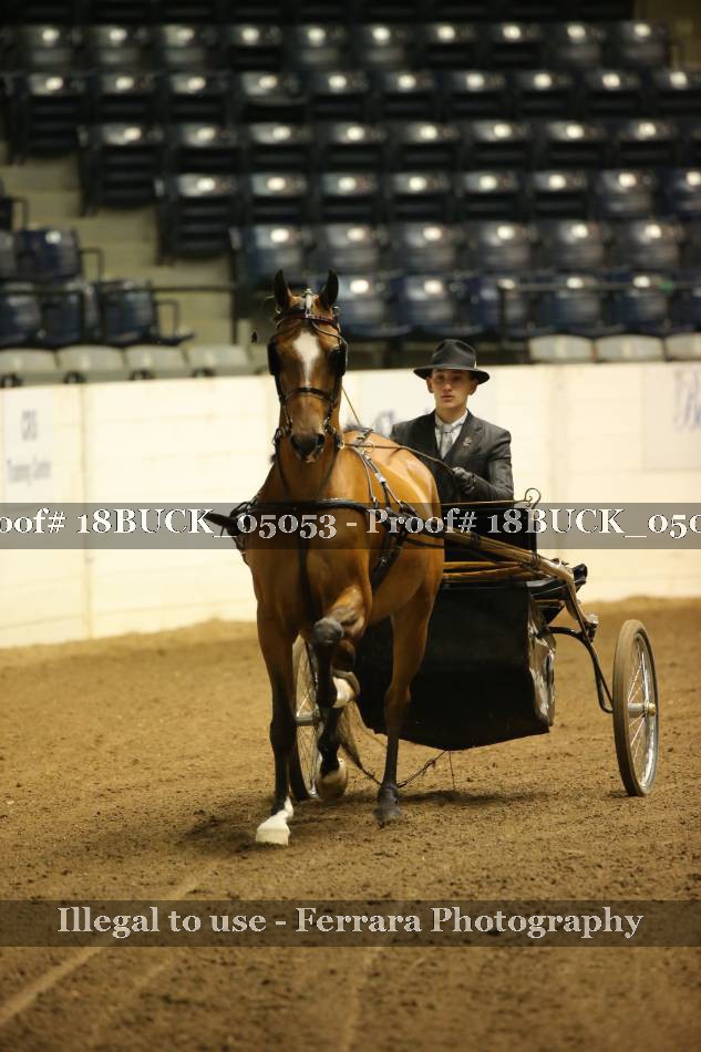 Proof 18BUCK_05053