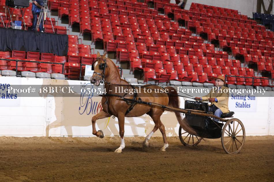 Proof 18BUCK_05054