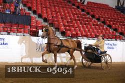 18BUCK_05054 proof