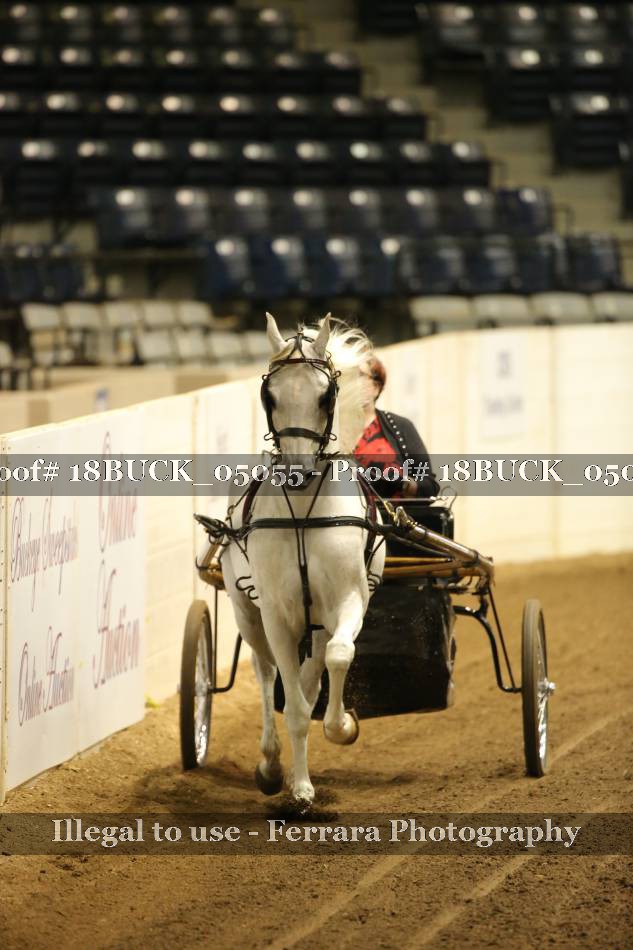 Proof 18BUCK_05055