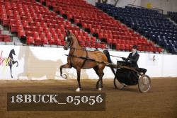 18BUCK_05056 proof