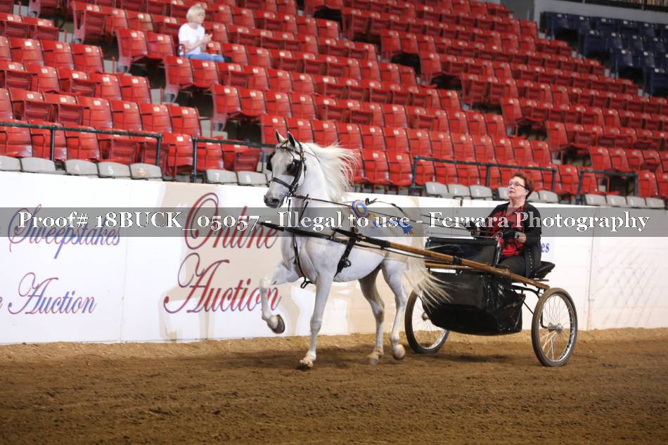 Proof 18BUCK_05057