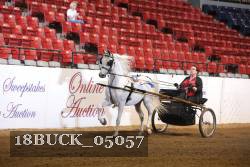 18BUCK_05057 proof