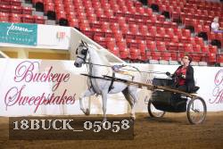 18BUCK_05058 proof