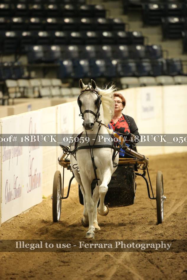 Proof 18BUCK_05059