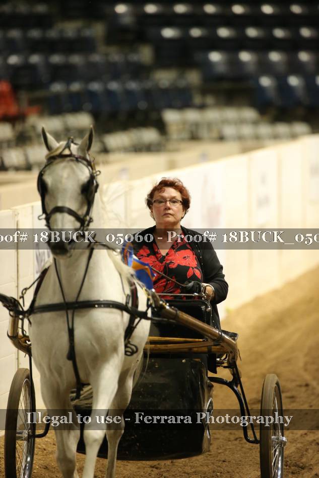 Proof 18BUCK_05060