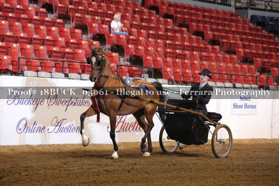 Proof 18BUCK_05061