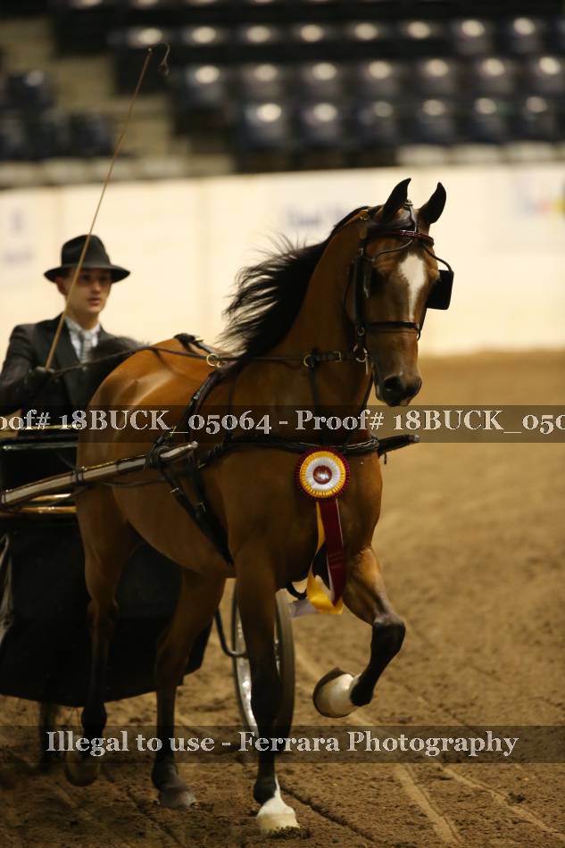 Proof 18BUCK_05064