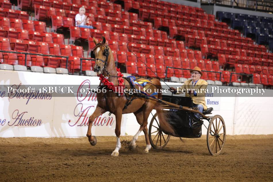 Proof 18BUCK_05066