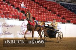 18BUCK_05066 proof