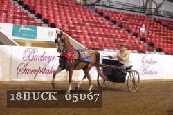 18BUCK_05067 proof