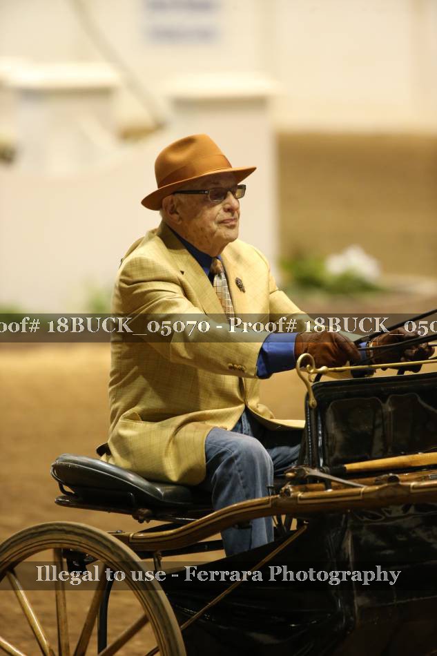 Proof 18BUCK_05070