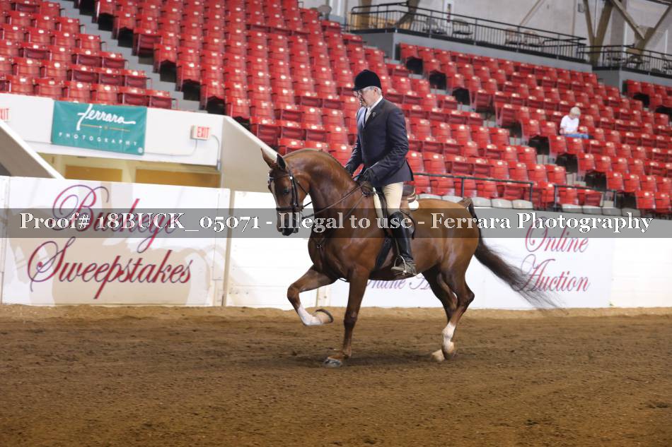 Proof 18BUCK_05071
