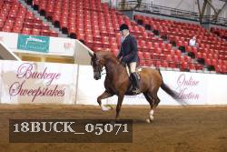 18BUCK_05071 proof