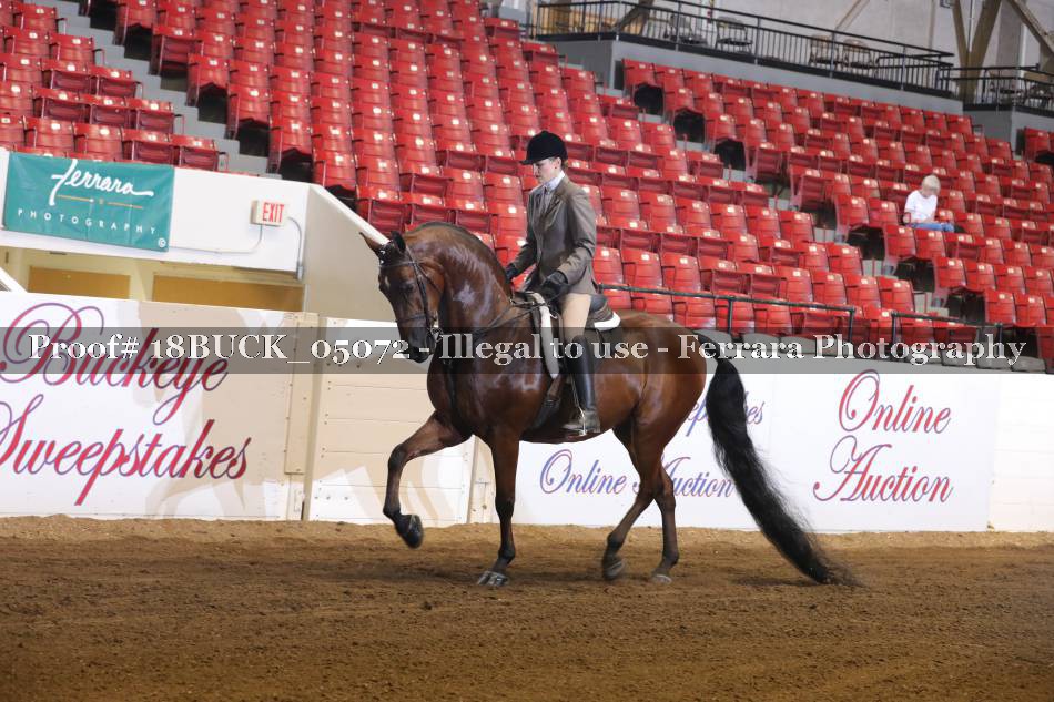 Proof 18BUCK_05072